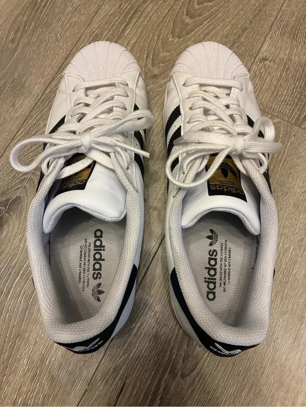 Adidas Superstar Shell Toe Sneakers in White